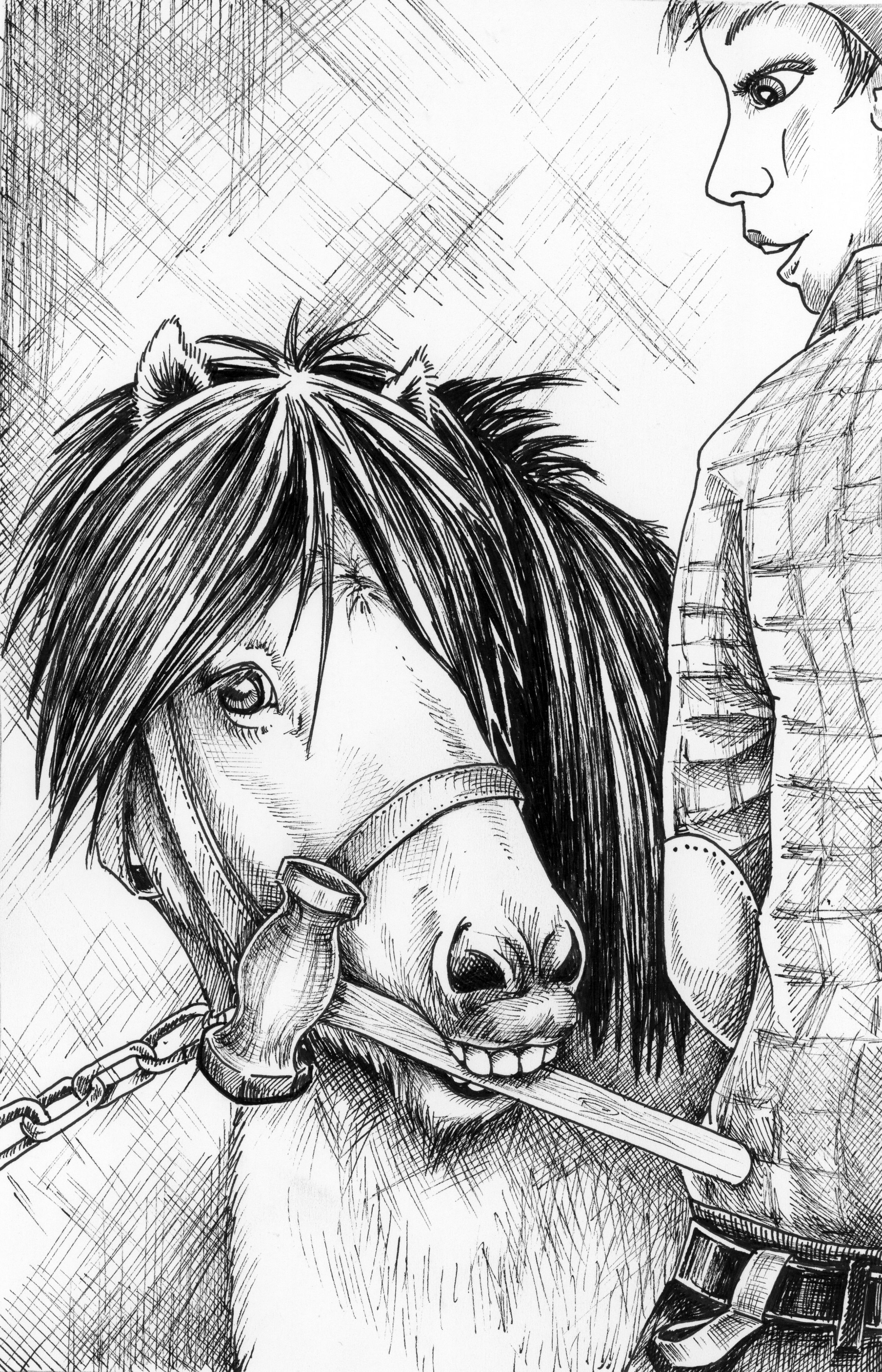 Bäst på häst - illustration från boken