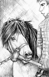 Bäst på häst - illustration från boken