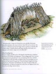 Bildsida ur boken: rekonstrktion av mesolitisk boplats. 